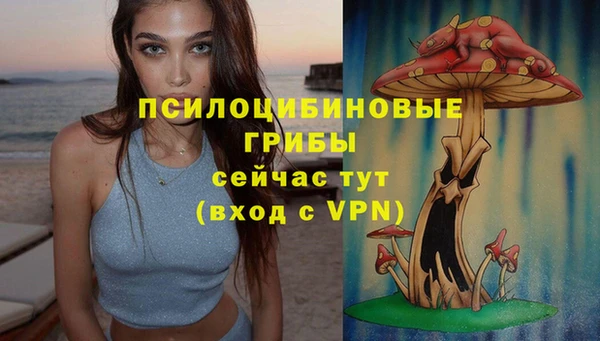 синтетический гашиш Ростов