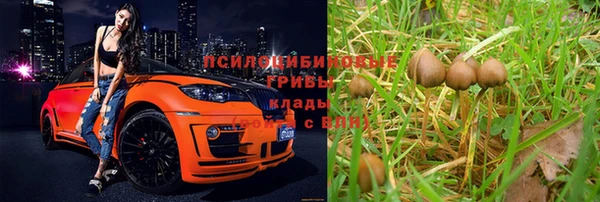 гидропоника Абинск