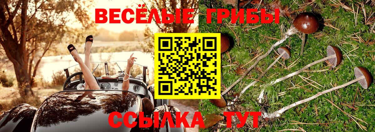 Азов  Галлюциногенные грибы Magic Shrooms  Вход с VPN 